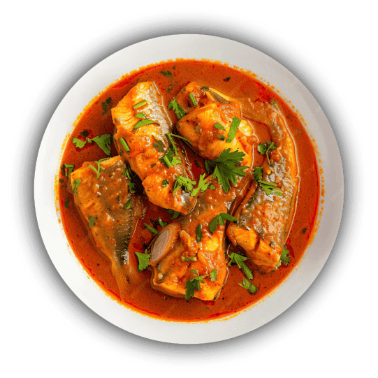 Ikan Kari